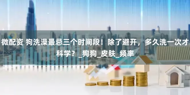 微配资 狗洗澡最忌三个时间段！除了避开，多久洗一次才科学？_狗狗_皮肤_频率