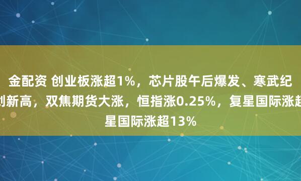 金配资 创业板涨超1%，芯片股午后爆发、寒武纪涨停创新高，双焦期货大涨，恒指涨0.25%，复星国际涨超13%