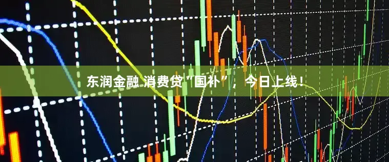 东润金融 消费贷“国补”，今日上线！
