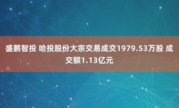 盛鹏智投 哈投股份大宗交易成交1979.53万股 成交额1.13亿元